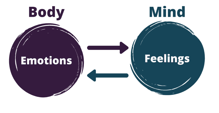 Emotions versus feelings image graph